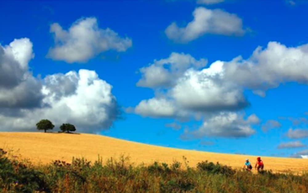 Hipotels Barrosa Garden Chiclana de la Frontera Dış mekan fotoğraf